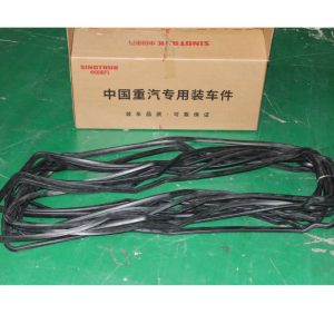 Sinotruck Howo Oil seals